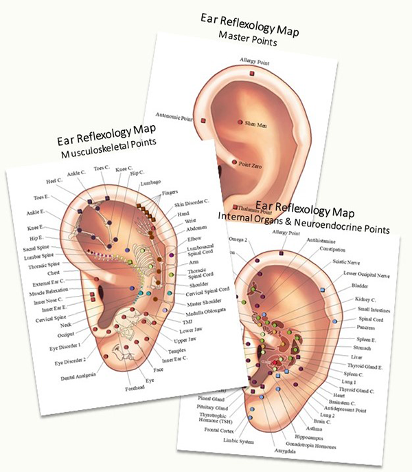 Laminated Ear Maps